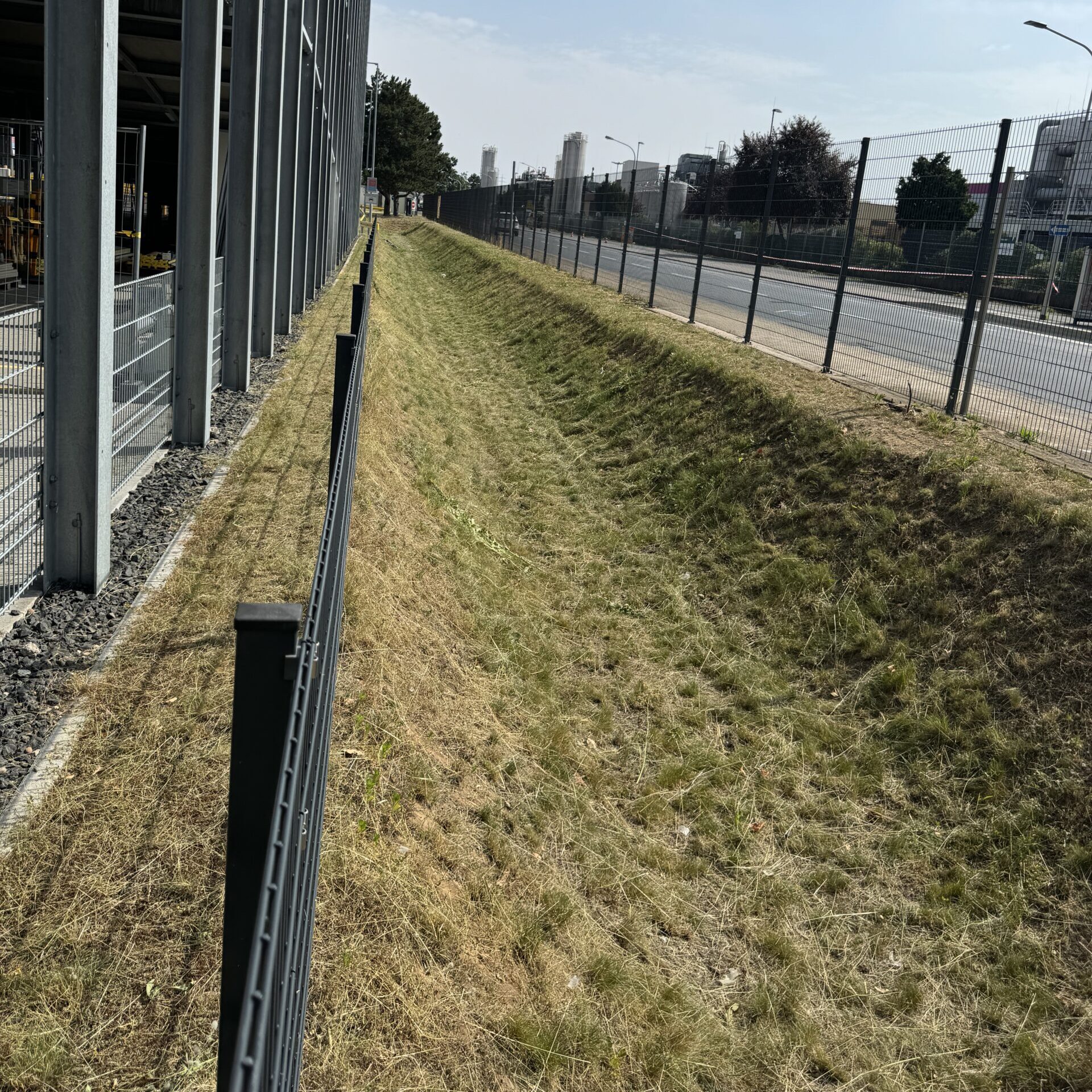 Grünpflege: nachher